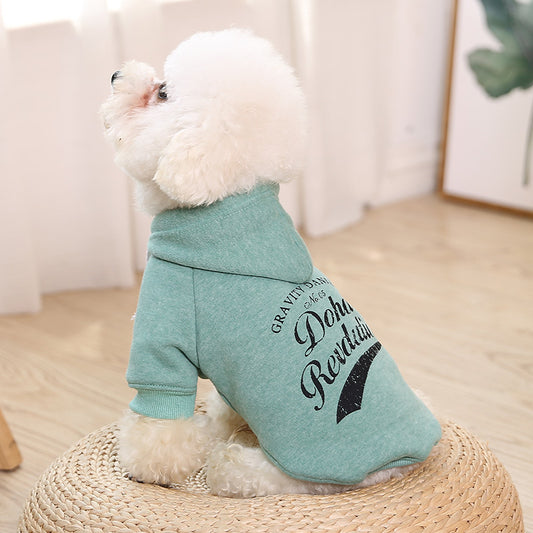 Cute and Functional Clothes for Dogs and Cats